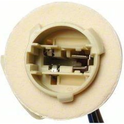 Lamp Socket by BLUE STREAK (HYGRADE MOTOR) - S590 pa21