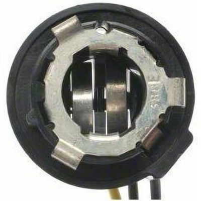 Lamp Socket by BLUE STREAK (HYGRADE MOTOR) - S65 pa12