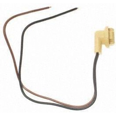 Lamp Socket by BLUE STREAK (HYGRADE MOTOR) - S95 pa42