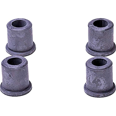 Leaf Spring Bushing by DORMAN (OE SOLUTIONS) - 541-360 pa1