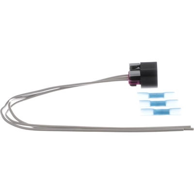 License Lamp Connector by BLUE STREAK (HYGRADE MOTOR) - S1025 pa29