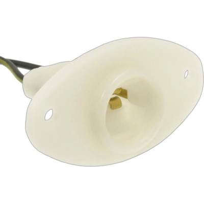 License Lamp Connector by BLUE STREAK (HYGRADE MOTOR) - S1940 pa5