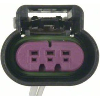 License Lamp Connector by BLUE STREAK (HYGRADE MOTOR) - S1025 pa21