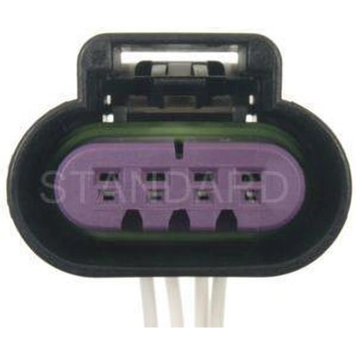 License Lamp Connector by BLUE STREAK (HYGRADE MOTOR) - S1074 pa1