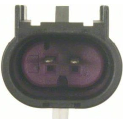 License Lamp Connector by BLUE STREAK (HYGRADE MOTOR) - S1491 pa17