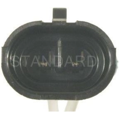 License Lamp Connector by BLUE STREAK (HYGRADE MOTOR) - S1654 pa33