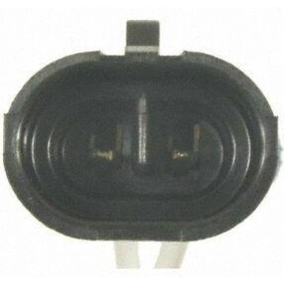 License Lamp Connector by BLUE STREAK (HYGRADE MOTOR) - S1654 pa38