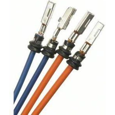 License Lamp Connector by BLUE STREAK (HYGRADE MOTOR) - S2084 pa19