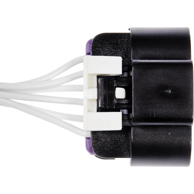 License Lamp Connector by DORMAN/TECHOICE - 645-595 pa16