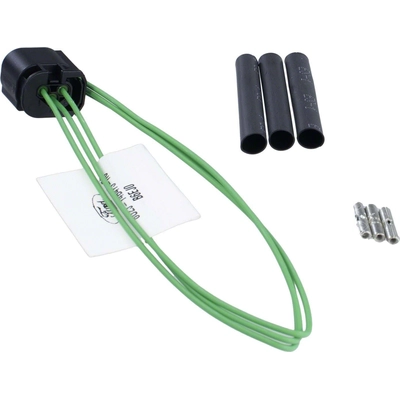 License Lamp Connector by MOTORCRAFT - WPT1711 pa2