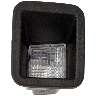 DORMAN - 68215 - Lampe de licence pa1