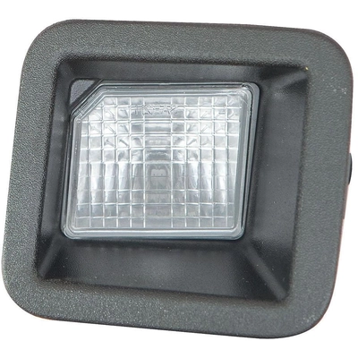 License Plate Lamp Assembly - FO2870103C pa1