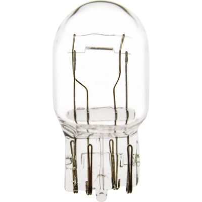 License Plate Light by CEC Industries - 7443BP pa1