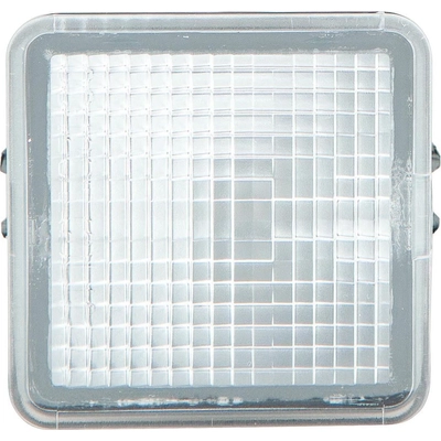 License Plate Light by DEPO - 3122108NAC pa1