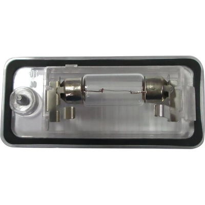 License Plate Light by DEPO - 4462101RAQ pa1