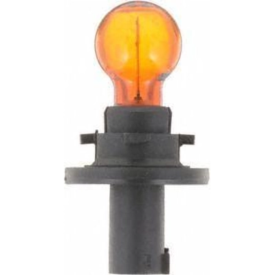 License Plate Light by PHILIPS - 12821B2 pa30