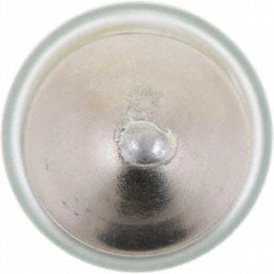 License Plate Light (Pack of 2) by PHILIPS - 12844B2 pa28