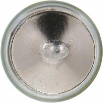PHILIPS - 12844CP - License Plate Light pa3