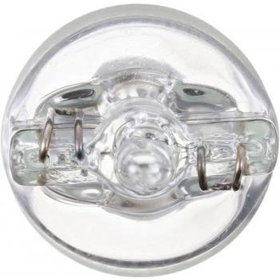 License Plate Light by PHILIPS - 161B2 pa76