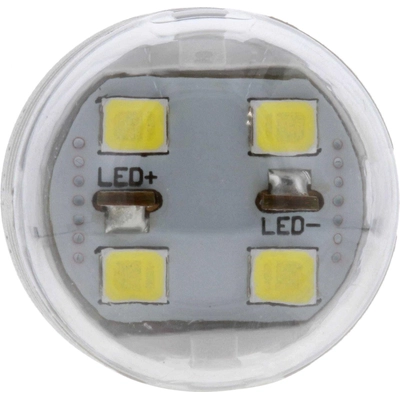 License Plate Light by PHILIPS - 7440WLED pa15