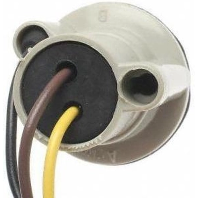 License Plate Light Socket by ACDELCO PROFESSIONAL - LS244 pa13