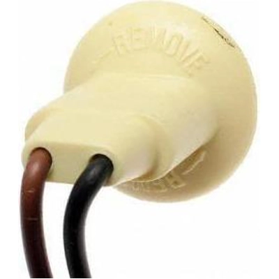 License Plate Light Socket by ACDELCO PROFESSIONAL - LS247 pa1