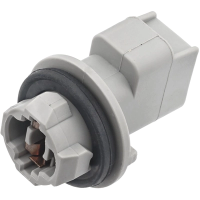 BLUE STREAK (HYGRADE MOTOR) - HP3995 - License Plate Light Socket pa21