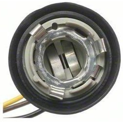 License Plate Light Socket by BLUE STREAK (HYGRADE MOTOR) - HP4150 pa14