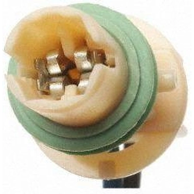 License Plate Light Socket by BLUE STREAK (HYGRADE MOTOR) - HP4560 pa14