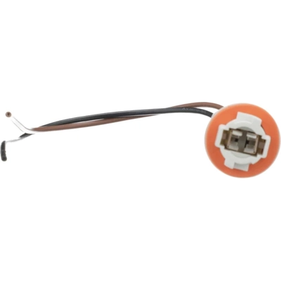 BWD AUTOMOTIVE - PT5603 - Tail Lamp Socket pa3