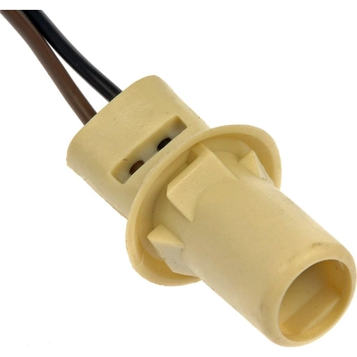 License Plate Light Socket by DORMAN/CONDUCT-TITE - 85861 pa17