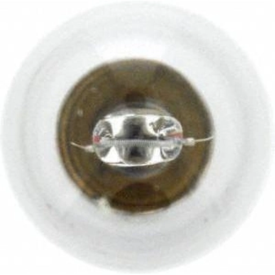 License Plate Light by SYLVANIA - 1141.TP pa46