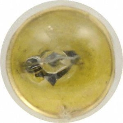 License Plate Light by SYLVANIA - 63LL.BP2 pa10