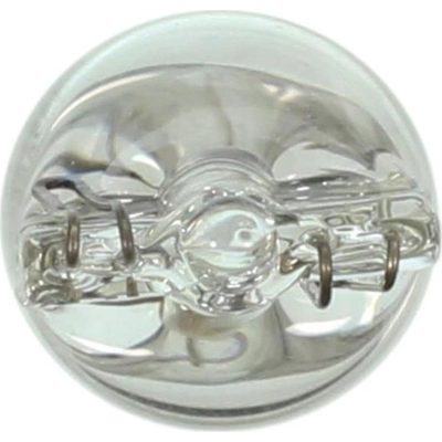 License Plate Light (Pack of 10) by WAGNER - 192 pa1