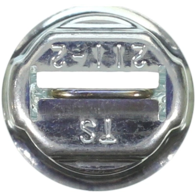 License Plate Light (Pack of 10) by WAGNER - 211-2 pa21