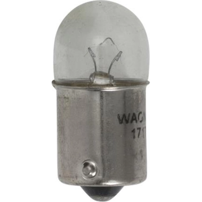 License Plate Light (Pack of 2) by WAGNER - BP17171LL pa1