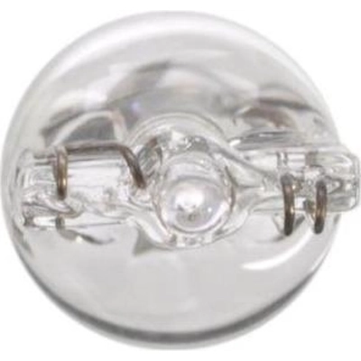 License Plate Light by WAGNER - BP161 pa30