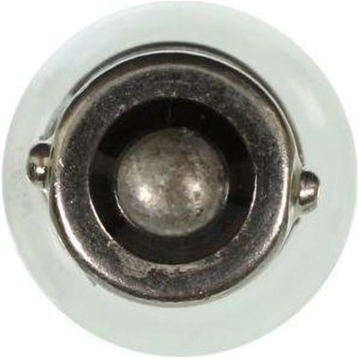 License Plate Light by WAGNER - BP1895 pa30