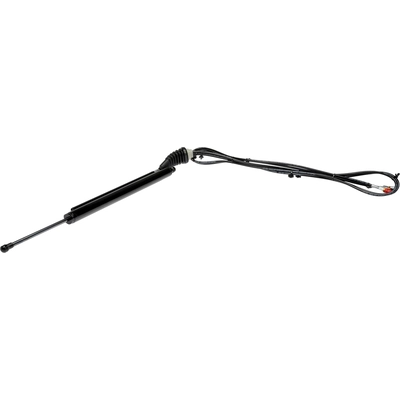 Lift Support by DORMAN (OE SOLUTIONS) - 747-416 pa1