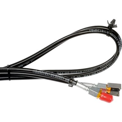 Lift Support by DORMAN (OE SOLUTIONS) - 747-416 pa2