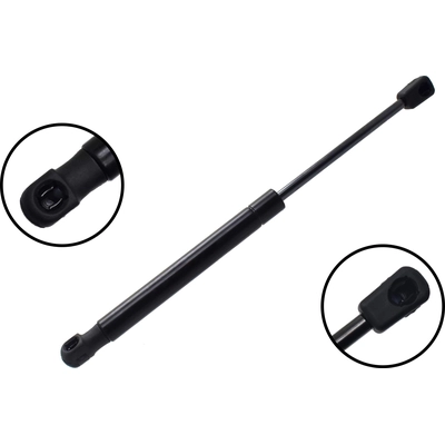 Lift Support by FCS AUTOMOTIVE - 80006 pa1