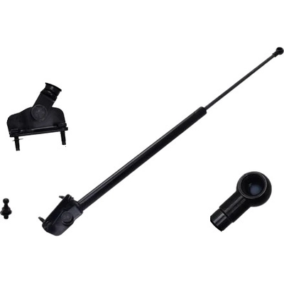Lift Support by FCS AUTOMOTIVE - 80032 pa1