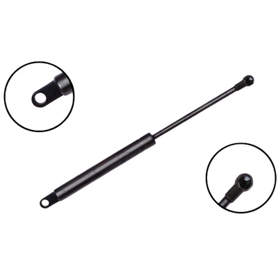 FCS AUTOMOTIVE - 84047 - Trunk Lid Lift Support pa1