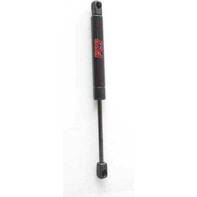 Lift Support by FCS AUTOMOTIVE - 84113 pa1