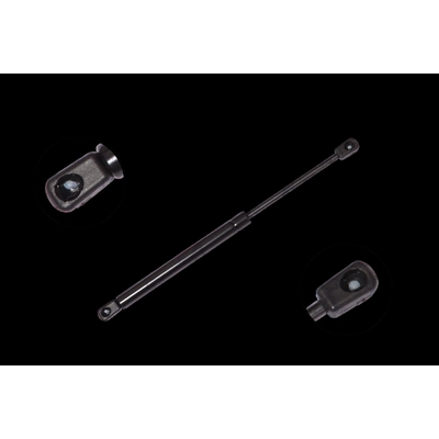 Lift Support by FCS AUTOMOTIVE - 84160 pa2