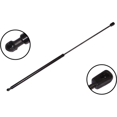 Lift Support by FCS AUTOMOTIVE - 84171 pa2