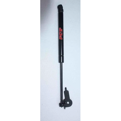 FCS AUTOMOTIVE - 84174L - Lift Support pa1