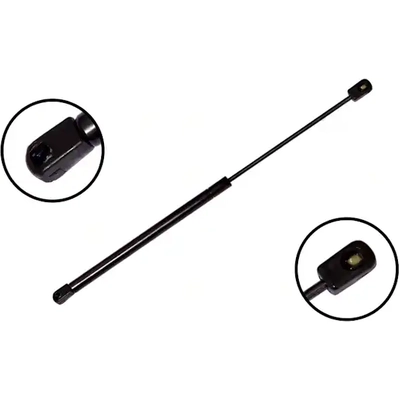 FCS AUTOMOTIVE - 84365 - Lift Support pa2