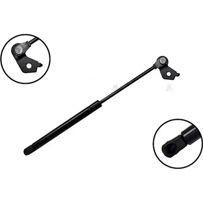 Lift Support by FCS AUTOMOTIVE - 84549R pa2