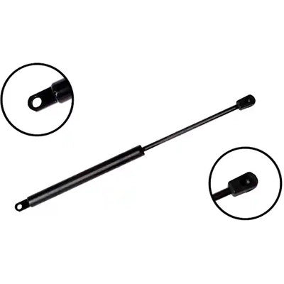 Lift Support by FCS AUTOMOTIVE - 84619 pa2